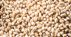 Barley