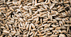 Rye