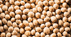 Soy