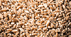 Wheat